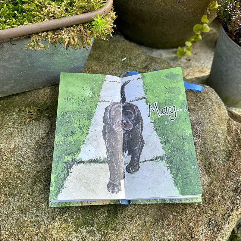 DY06 Delightful Dogs Diary