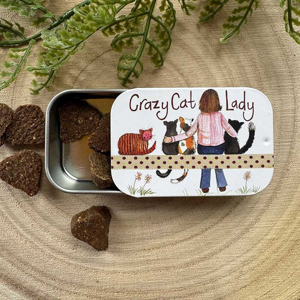 SLT09 Crazy Cat Lady Small Sliding Tin